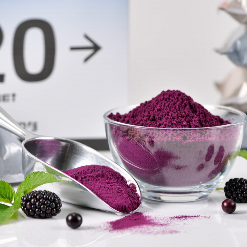 How to Source Organic Acai Berry Powder in Bulk