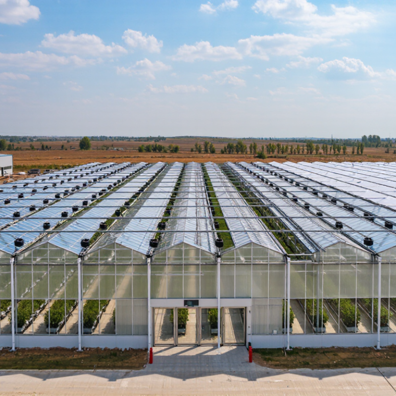 China Best Multi Span Greenhouse Supplier?