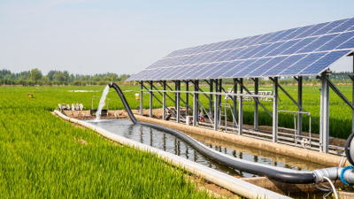 What Are the Best Solar Pumps from China?