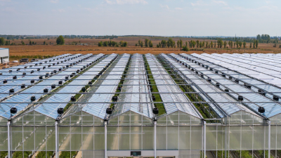 China Best Multi Span Greenhouse Supplier?