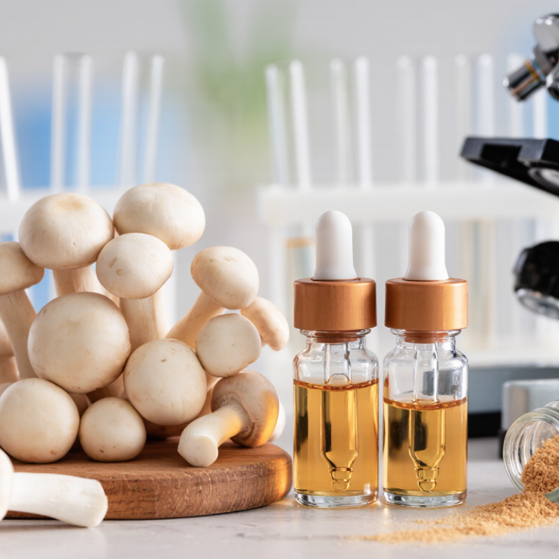 What Is Agaricus Blazei Extract Used For?