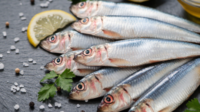 Top 10 Sardines Nutrition Facts for Global Buyers