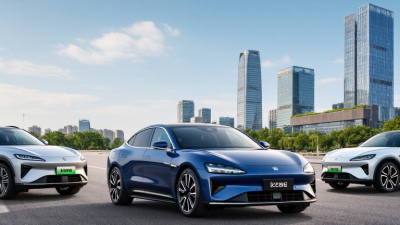 China Top 10 Fully Electric Cars for Global Buyers