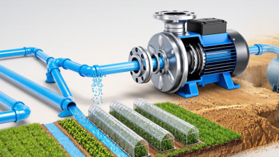 Why Choose a Positive Displacement Water Pump?