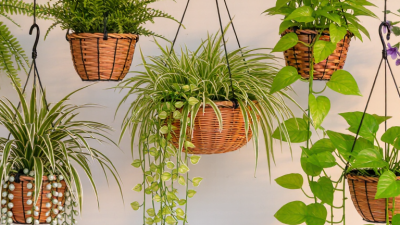 7 Best Artificial Plants for Hanging Baskets?