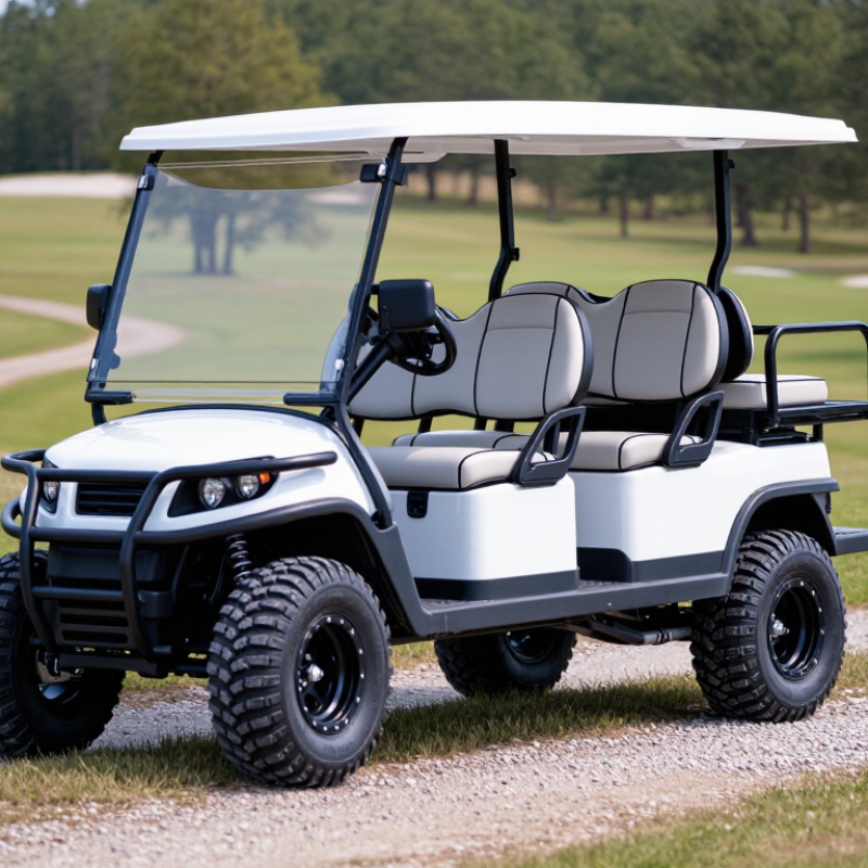 Why Choose a 6 Passenger Lifted Golf Cart?