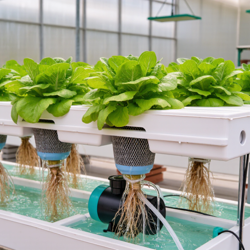 What Is Hydroponic Growing and How Does It Work?