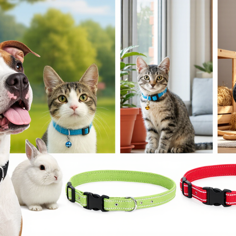 China Top Pet Collars How to Pick One for Different Pets?