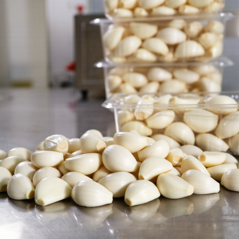 China Best Fresh Peeled Garlic Suppliers for Global Buyers