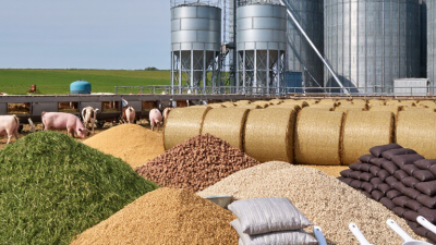 Top 10 Types of Livestock Feed for Global Buyers?