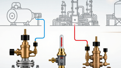 2026 Top Temperature and Pressure Relief Valve Types?