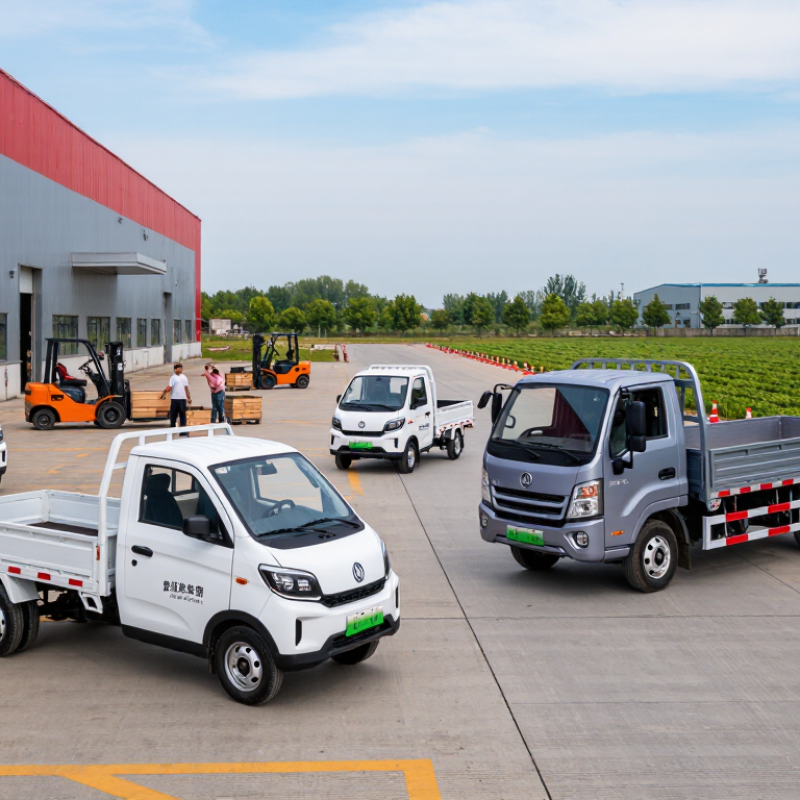 What Is the Best Electric Utility Vehicle from China?