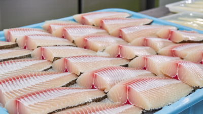 China Top Frozen Tilapia Fish Suppliers for Global Buyers