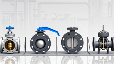 What Types of Pump Valves Are Available?