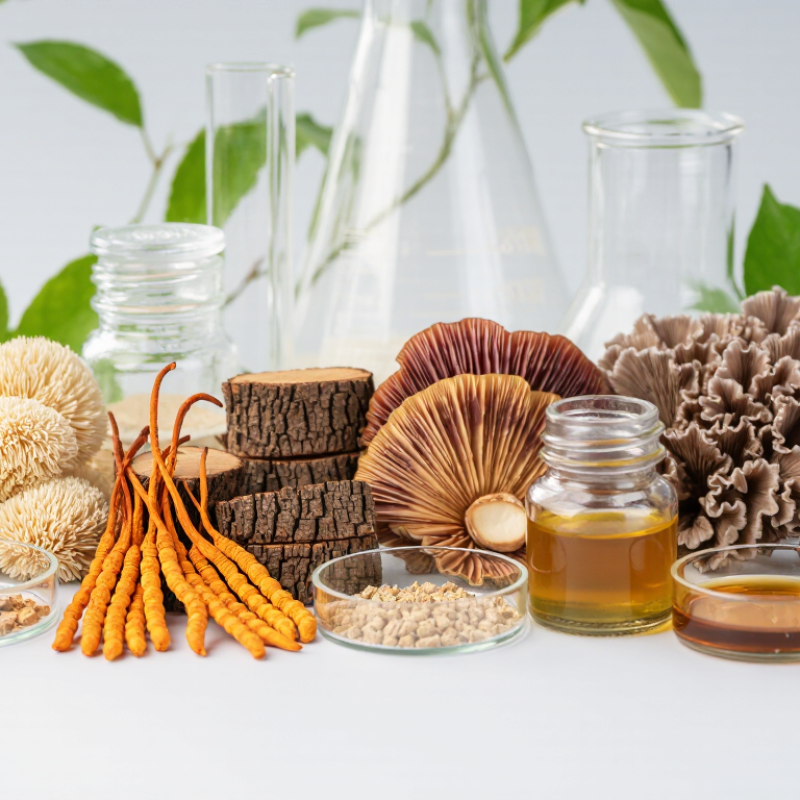 7 Best Medicinal Mushroom Extracts for Global Buyers