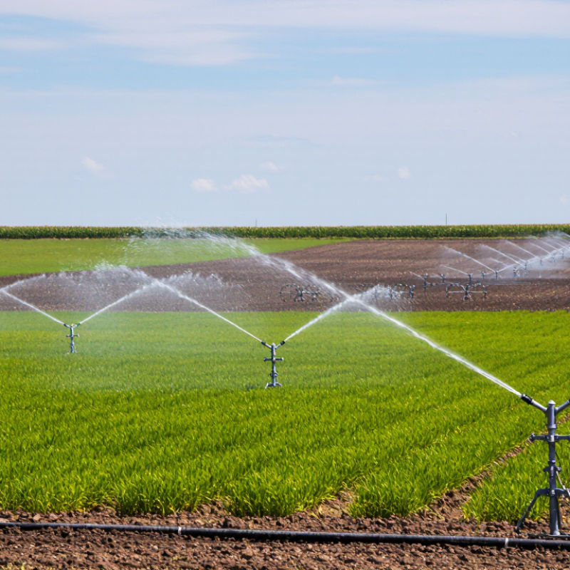 What Are the Top Spray Irrigation Systems in 2026?