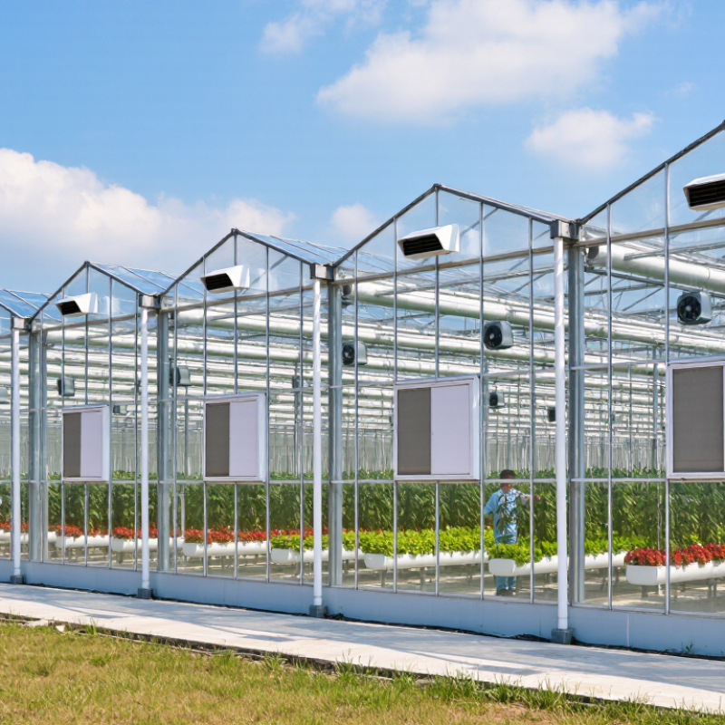 Top Vegetable Greenhouse Manufacturers for Global Buyers
