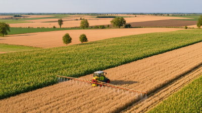Why Choose Corteva Fungicides for Global Crop Protection?