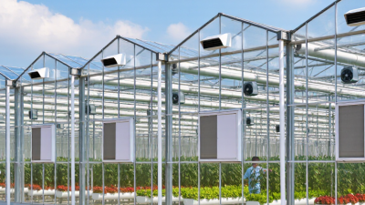 Top Vegetable Greenhouse Manufacturers for Global Buyers