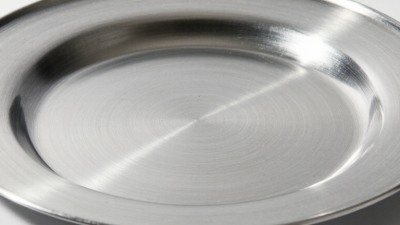 What Is a Stainless Steel Dinner Plate?