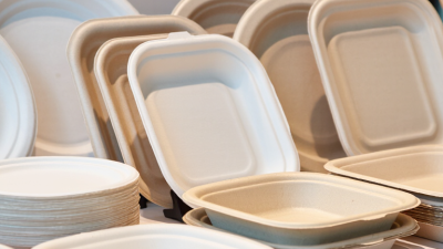 China Top 10 Disposable Plates Manufacturers