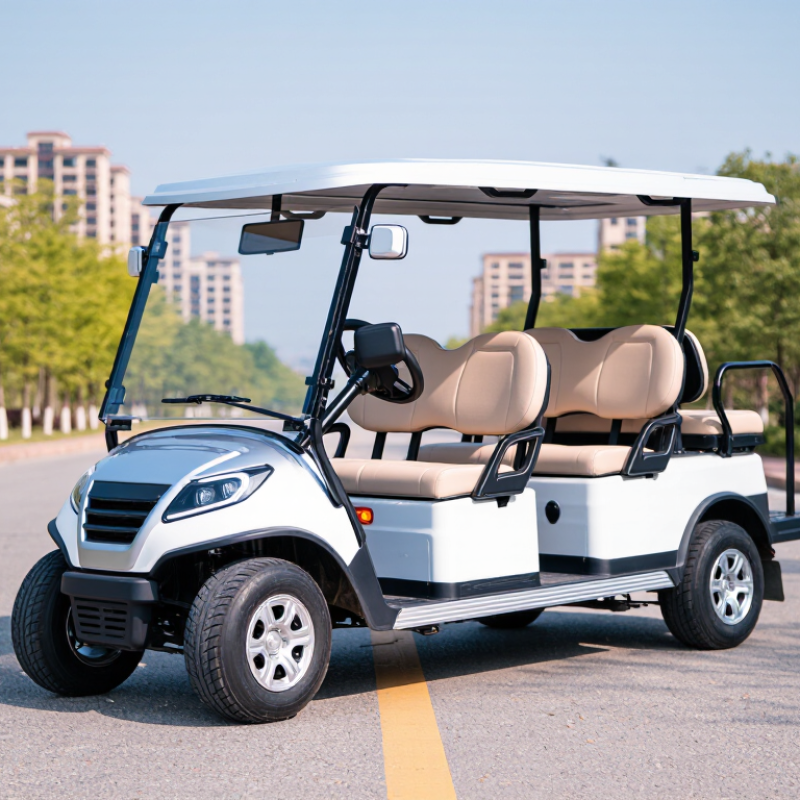 China Best 4 Passenger Street Legal Golf Cart for Sale?