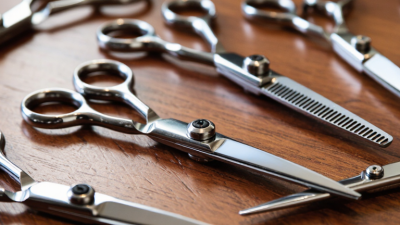 China Best Barber Scissors Suppliers for Global Buyers