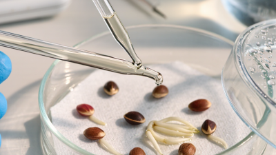 7 Tips for Gibberellic Acid Seed Germination