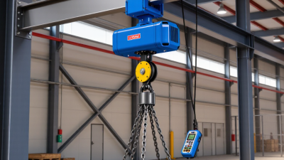 How to Choose Hoist Lifting Equipment in 2026?