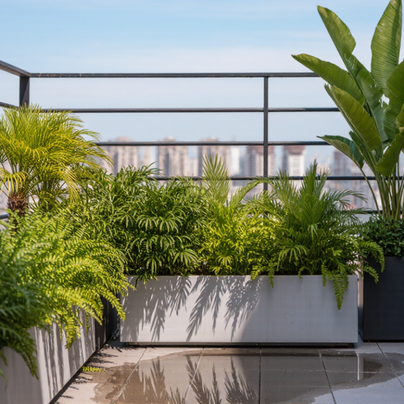 How to Find UV Rated Artificial Plants for Balconies?