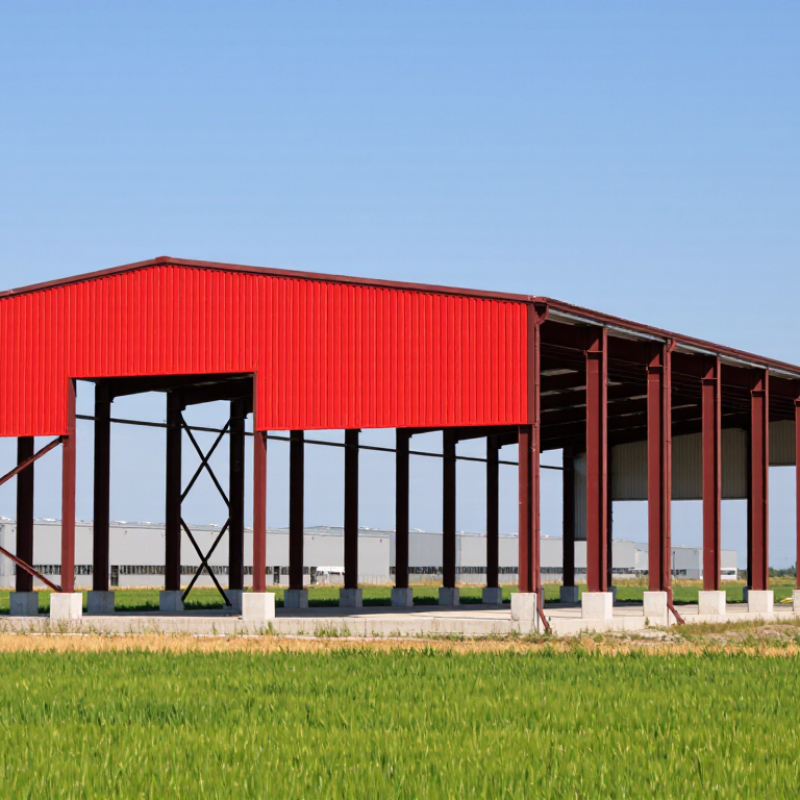 Why Are Red Steel Buildings Popular Worldwide?