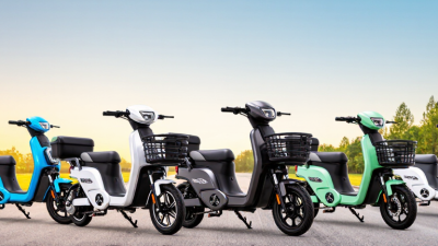 Top 10 Best Electric Trikes for Adults to Buy
