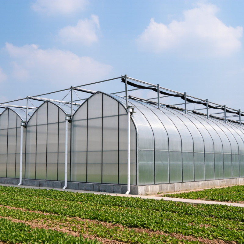 2026 Best Gothic Greenhouse for Global Buyers?