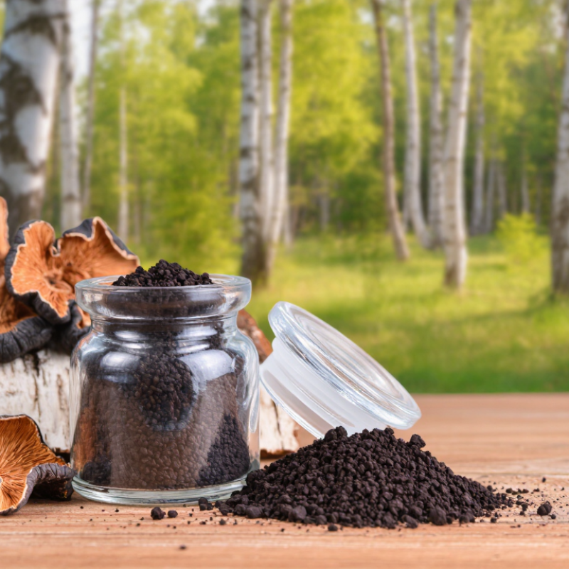 What Is the Best Chaga Mushroom Supplement in 2026?