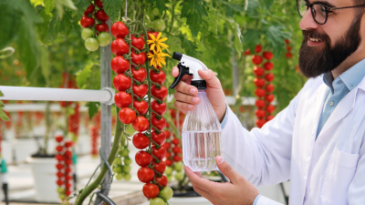 How to Use Gibberellic Acid on Tomato Plants?