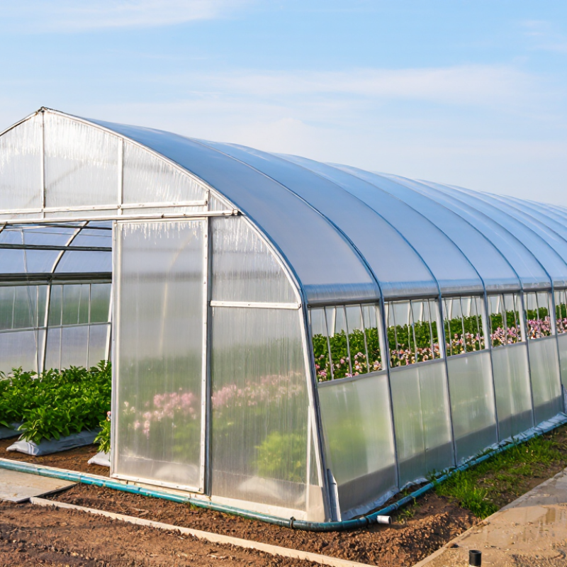 How to Choose the Best Greenhouse Covering Film in 2026?