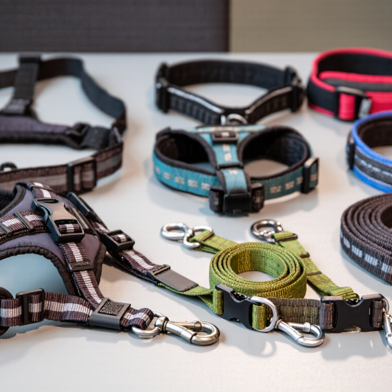 China Top Dog Harness And Leash Set Manufacturers?