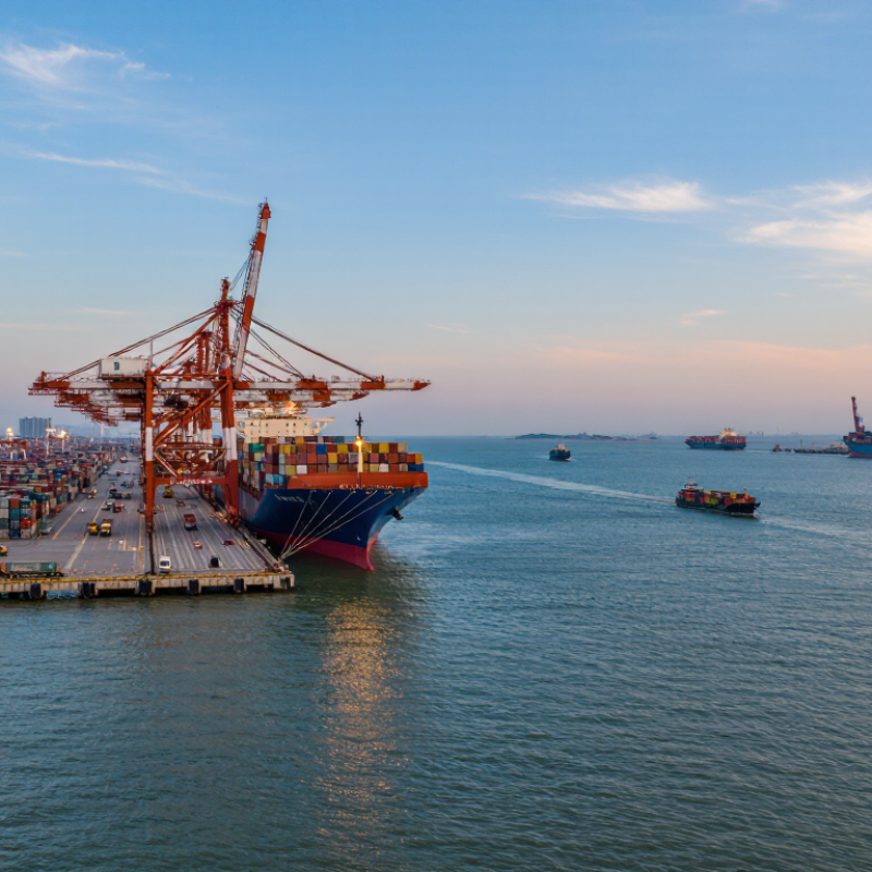 How to Track International Shipments