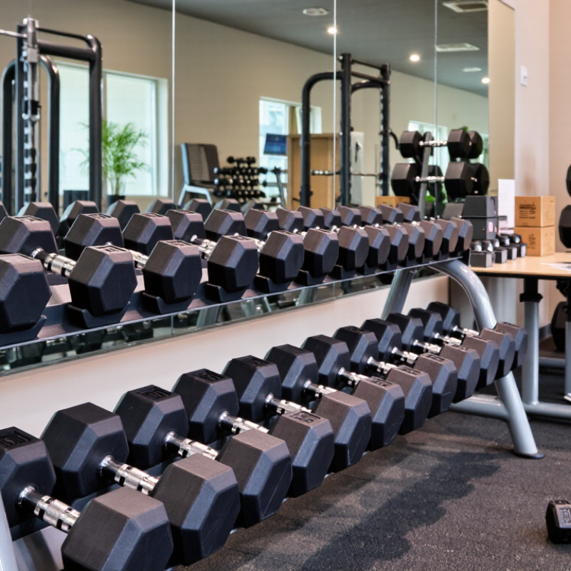Top Rack Dumbbell Manufacturers in China