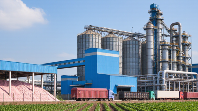 Why Is Fertilizer Production Important for Global Buyers?