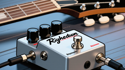 What Is the Richie Kotzen Signature Fly Rig?