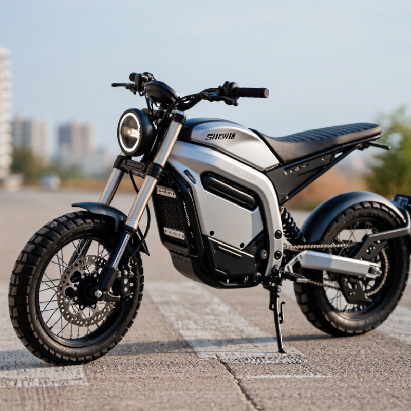 What Type of Electric Motorcycle Is the Ryvid Outset?