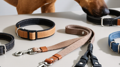 China Best Dog Leash And Collar Manufacturer?