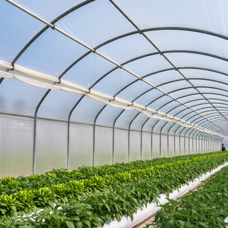China Best Greenhouse Covering Film Suppliers?