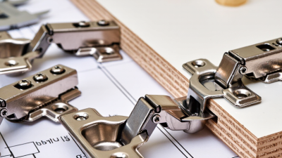 How to Choose the Best Heavy Duty Hidden Hinge