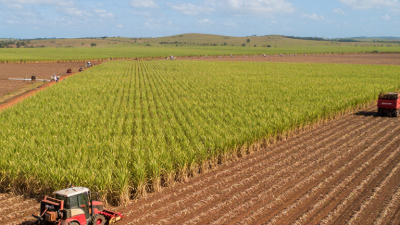 How to Choose the Best Sugarcane Machine in 2026?