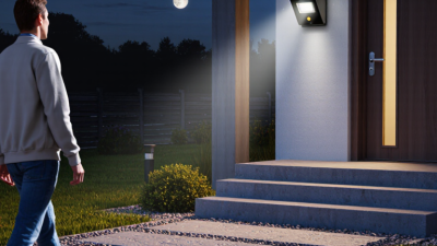 Why Choose a Solar Motion Sensor Light?