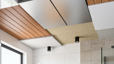 Top 10 Types of Bathroom Ceiling Cladding for Buyers