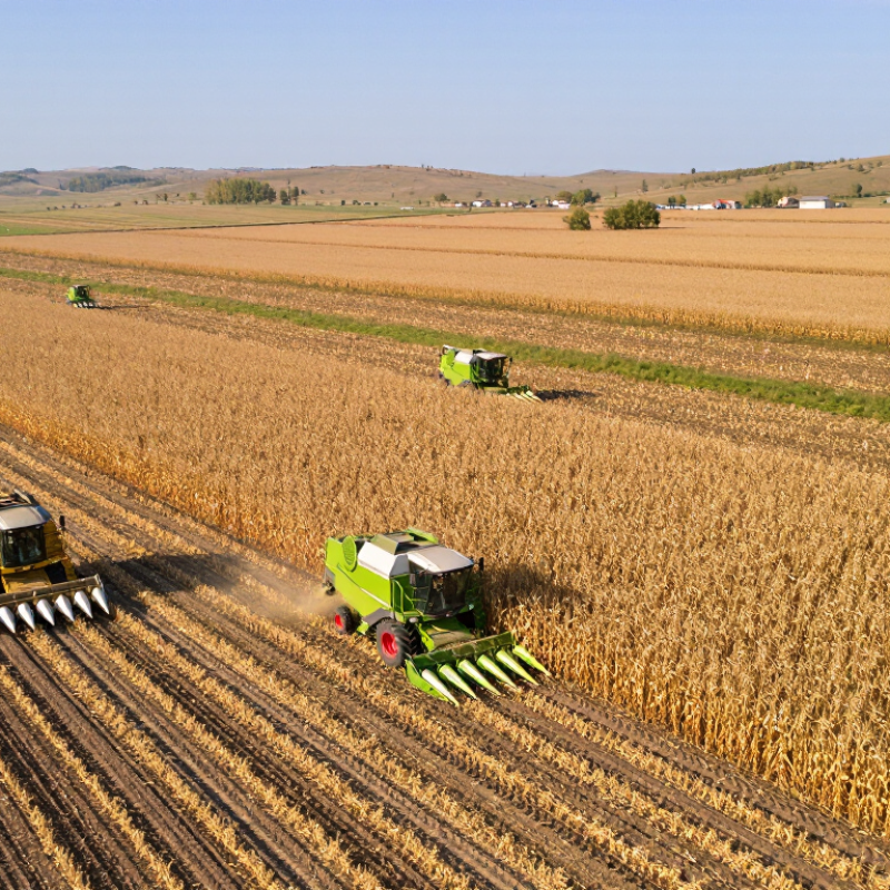 What Is the Best Corn Harvester in China?