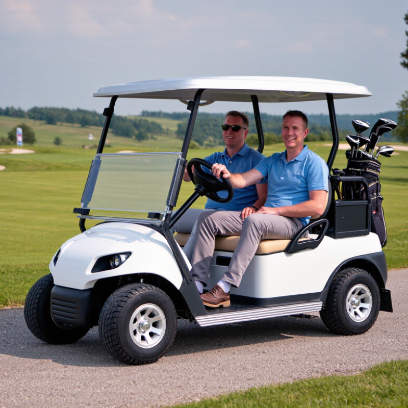 How to Choose the Best 2 Passenger Electric Golf Cart